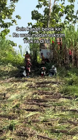 Pora yo ngeri jan raumum#petanitebu #fyppppppppppppppppppppppp #kuwat #MentalHealth 