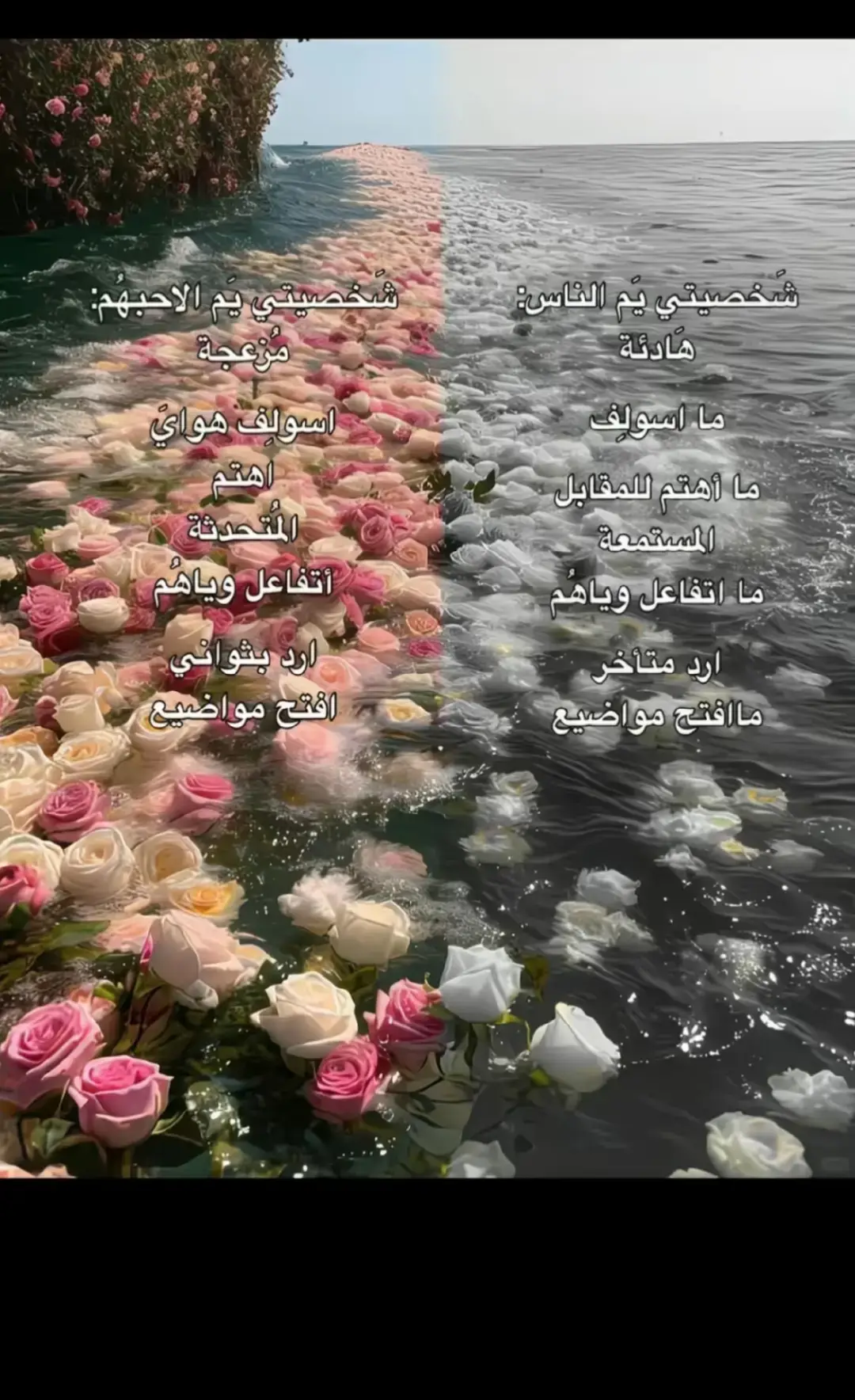 #طيبه #ستوريات #ستوريات_انستا #الشعب_الصيني_ماله_حل #الشعب_الصيني_ماله_حل😂😂 