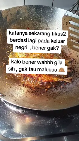 pulang gak lo pada 🤏 #dpr  #koruptor 