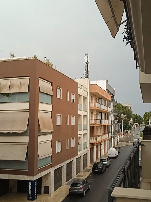 ⤵️...🤫... #❤️  #🌬️ #🌧️  Ogni volta che piove ad agosto mi vengono in mente le parole di Sapore di Mare: “Poi improvvisamente l’estate svaniva da ponente arrivavano grandi nuvole grigie cariche di pioggia e gli odori acri della pineta si tramutavano in folate di vento freddo” ❤️  #estate2025 