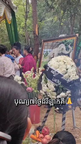 #ពូណុយជ្រូកកណ្តុរអាំងឆ្ងាញ់ 