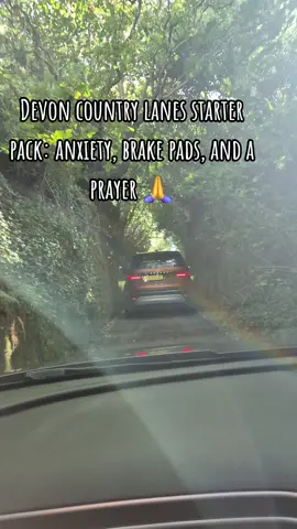 Honestly, if you can survive driving these lanes, you can survive anything. #Devon #CountryLanes #DrivingFails 