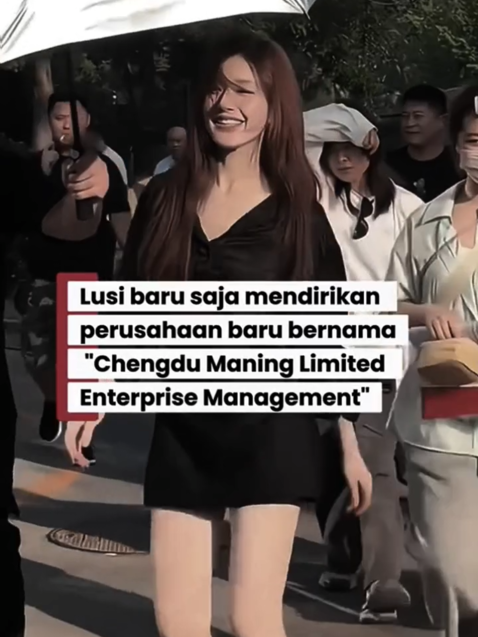 Zhao Lusi baru saja mendirikan perusahaan baru bernama 
