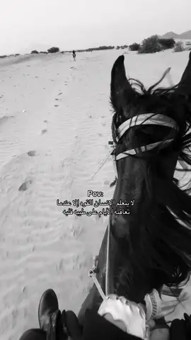 😢#اكسبلورexplore #الخياله_فرح🐎🖤 #خيول_عربية_اصيلة #خيل_وخياله🐎 #مالي_خلق_احط_هاشتاقات 