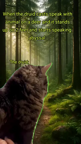 Follow me for more #dnd #dungeonsanddragons #fyp #viral #boktok 