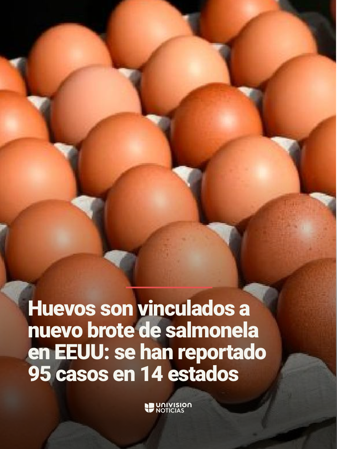 🦠 🥚 Huevos son vinculados a nuevo brote de salmonela en EEUU: se han reportado 95 casos en 14 estados. Autoridades de salud investigan un nuevo brote de salmonela vinculado a la empresa de huevos Country Eggs LLC. El producto en retiro fue distribuido principalmente en los estados de California y Nevada, entre los meses de junio y julio de 2025. Te recordamos cuáles son los síntomas. Informa @borjavoces. 📺 No te pierdas el Noticiero #EdicionDigital de lunes a viernes a las 12pm/11C por Univision. #salud #salmomella #huevos #food #comida #emergencia #health #Uninoticias #UnivisionNoticias