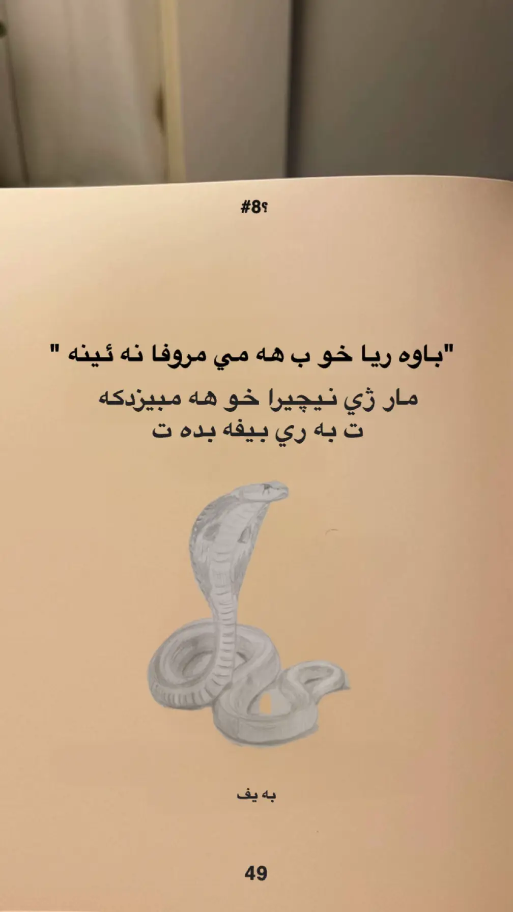 #الكسبور#fyppppppppppppppppppppppp#duhok_zaxo_amedi_semel_akre#fyp#foryoupage 