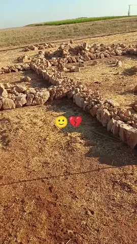 جت وراك وسوت اخير منك🤣🤣🤣#مالي_خلق_احط_هاشتاقات🧢 #الرقه_الحسكه_ديرالزور_الفرات #السعب_الصيني_ماله_حل😂😂😂 #السعب_الصيني_ماله_حل😂😂😂 #الرقه_الحسكه_ديرالزور_الفرات 