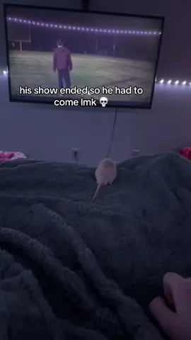 😭 #mylifewiththewalterboys #fyp #petrats #foryou #ratsoftiktok 