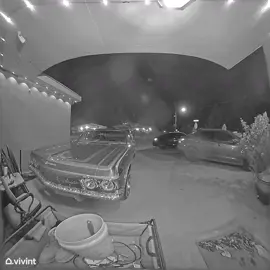 He was having the best night ever until he heard 💥 💥 y’all please stay safe out there #v #pizza 