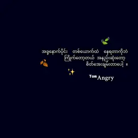 : နော့် : 🍂🫶 #syl___official #foryou #foryoupage #စာတို #fyp 