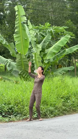 thất tình mà chỉ biết uống nước suối kiểu: 