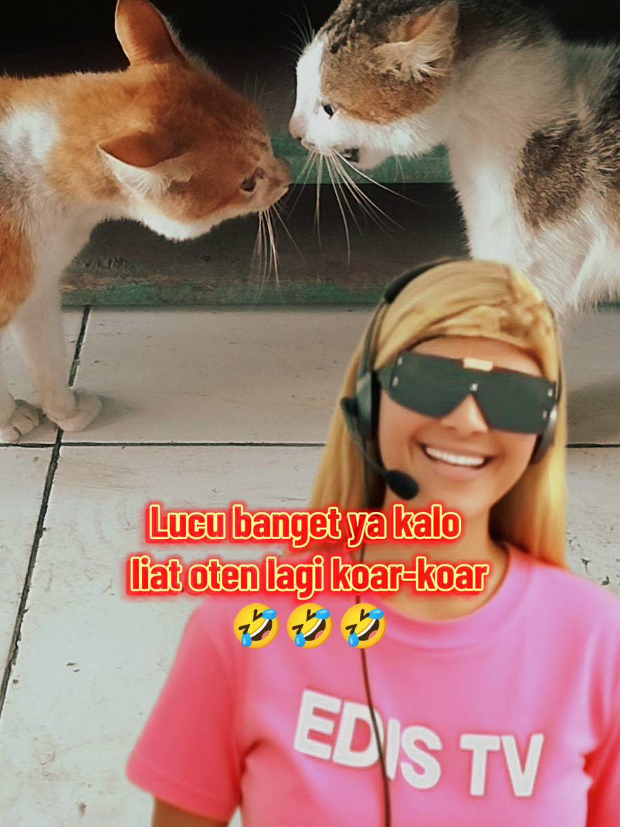 Pliiis jangan dulu punah!!! 🙏🤣 #funnyvideo #funnytiktok #catlover #kucinglucu #kucingtiktok 