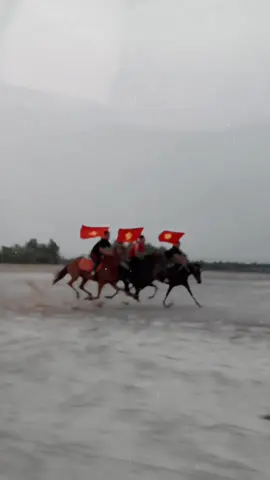 Hưởng ứng đại lễ quốc Khánh 2/9/2025#tínmaxhorseclub #xuhuong #cưỡingựa #daotaocuoinguachuyennghiep 