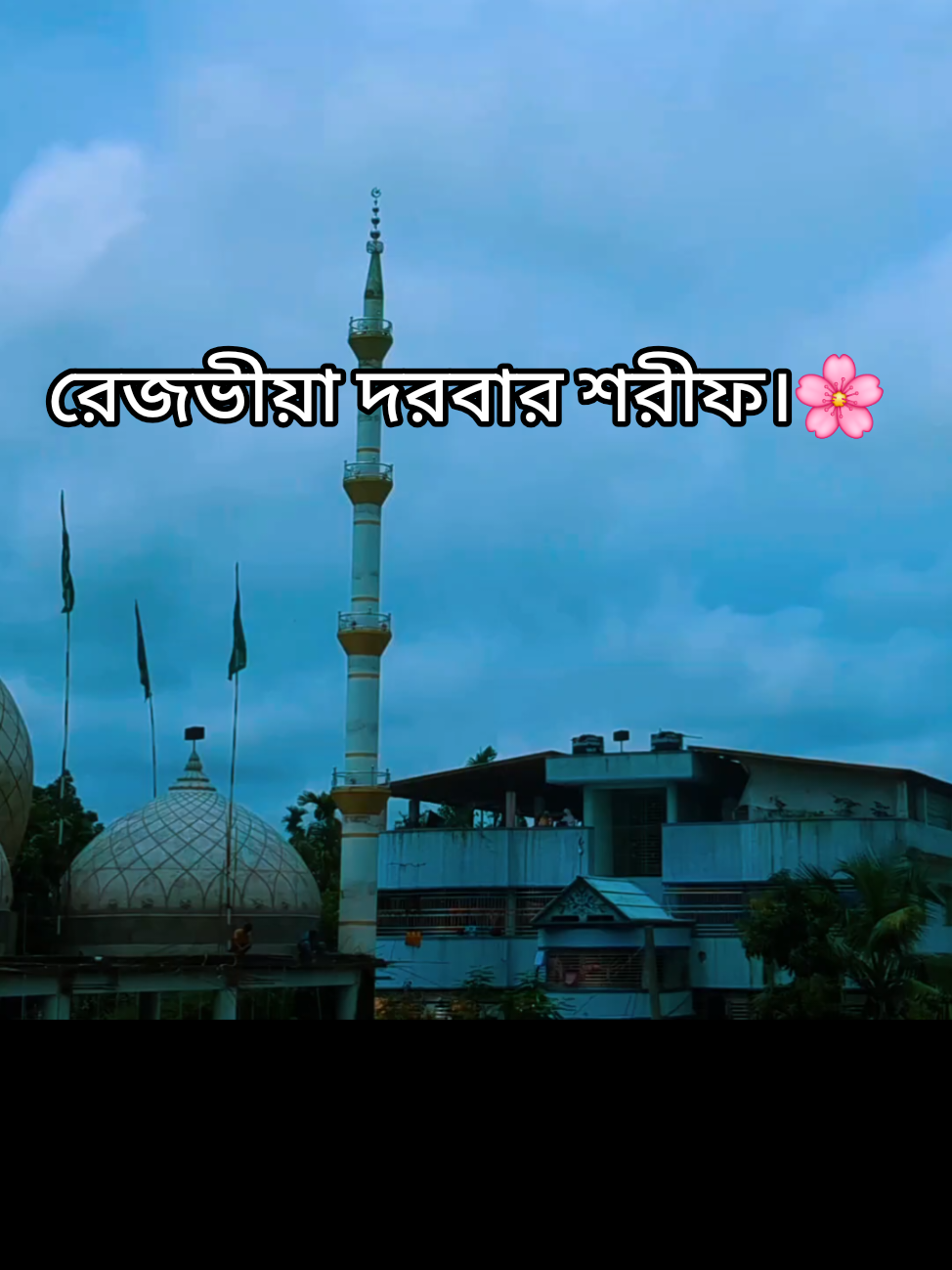 ঈদে মিলাদুন্নাবী ﷺ🌸 #নাতে_রাসুল #ঈদে_মিলাদুন্নাবী #২০২৫ 