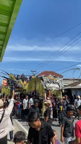 Semut Ireng 🐜 #fyppppppppppppppppppppppp #madurapride🔥 