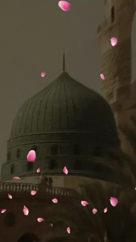 #CapCut #yahabibiyamuhammad #MashAllah🤲🏻🤲🏻🎧🎧 #unfreezemyacount 
