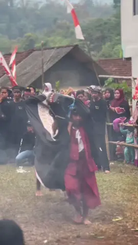 JIS JOS🔥🔥🔥#putrarimba #bantengpacet #seniadalahledakan💥 