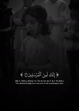 سورة يس - معاذ الشامي #قران_كريم #معاذ_الشامي #rawakurdy #اكسبلور #kurdistan 