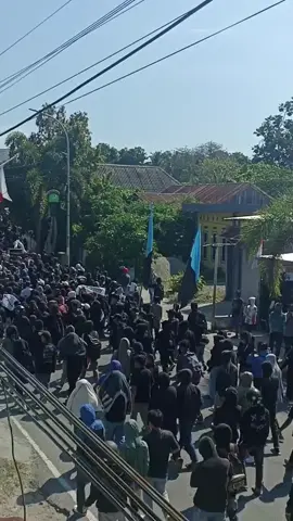DemoMajene#mahasiswa#demo #foryou #majene