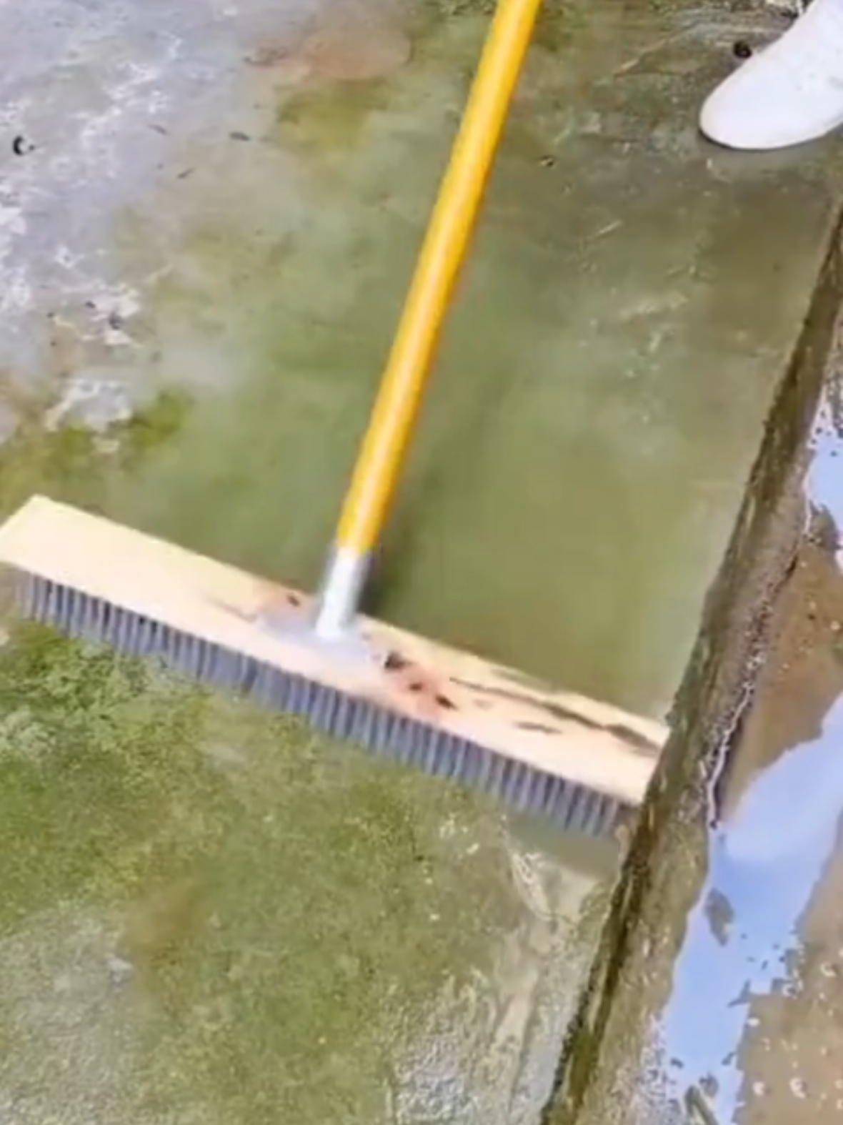 stainless steel wire brush floor brush #floorbrush #tiktokshop #tiktokshopph 