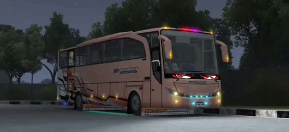 tampil elegands dulu aja#trendtiktok #estetik #selebritis #strobomata  #bussidtiktok 