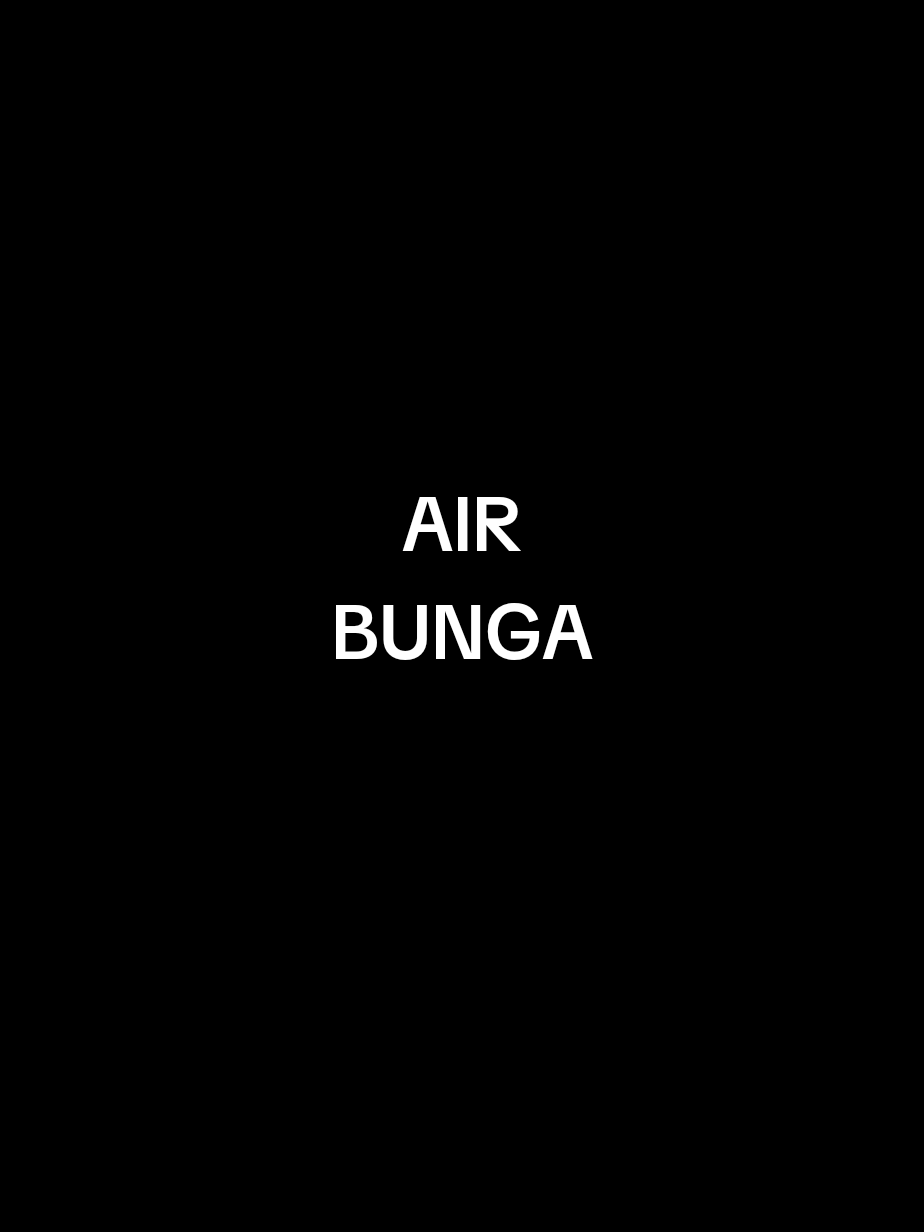 #CapCut #capcutpioneer #pioneertemplate #airbunga #fyp 