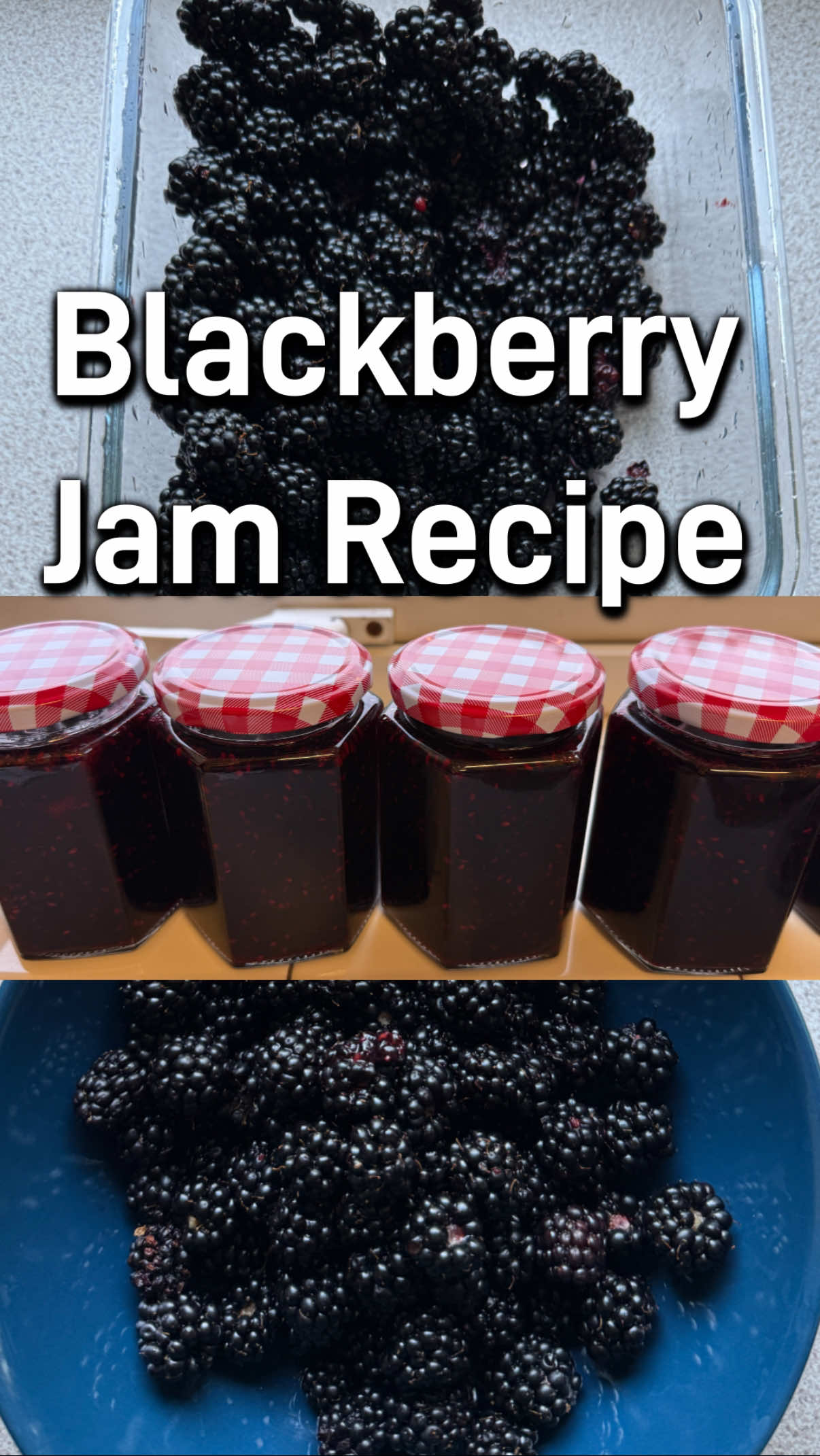 Here’s how to make a lovely Blackberry Jam!  With the Blackberries now in season, if anything a little earlier than normal this year, now is a great time to pick them. Making a jam is a great way to preserve these fruits while they are so abundant. Enjoy! #foraging #wildfood #connecttonature