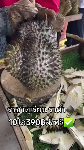 ราชาแห่งทุเรียนราดำ 10โล390฿ส่งฟรี เปลือกบาง รับประกันคุณภาพ👍👍👍