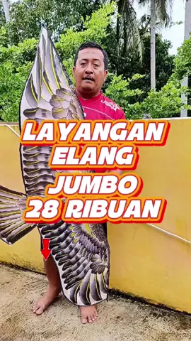 Layangan elang ukuran besar cuma 28 ribuan. #layangan #layanganbesar #layanglayang #layanganviral #layangangapangan 