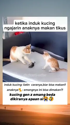 induk kucing ngajarin anaknya cara makan tikus,ditoel dulu baru gigit🤣#funnycat#kucinglucu#cutecat 