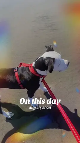 #onthisday 