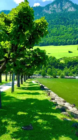 SWITZERLAND 🇨🇭🌊💦🚂🖼️🏡🌧️🏕️🌳🛶🏞️⛺️⛰️🌲 #lauterbrunnen_switzerland🌸🍁 #luzern_switzerland___snow💕 #rosenlaui_switzerland_rosenlaui🏔️ #photographytricks❤️familytimes 