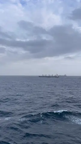 Side by side🚢 #fypage #fypviralシviral #pelautpunyacerita #seafarerslife 