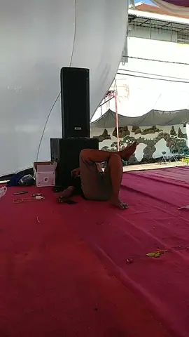 ws tak ready no bolo