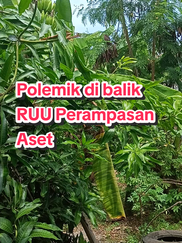 Perampasan Aset sampai sekarang belum juga disahkan DPR, meskipun sudah lama masuk dalam Program Legislasi Nasional (Prolegnas): 1. Kepentingan politik dan ekonomi RUU ini dianggap “tajam” karena memungkinkan negara menyita aset hasil tindak pidana (korupsi, narkotika, pencucian uang, dll.) tanpa harus menunggu putusan pidana terlebih dahulu. Hal ini berpotensi “mengganggu kenyamanan” pihak-pihak yang punya kepentingan politik atau ekonomi, termasuk mereka yang mungkin terkait dengan aset-aset bermasalah. 2. Kekhawatiran penyalahgunaan Sebagian anggota DPR beralasan bahwa mekanisme perampasan aset tanpa putusan pidana bisa membuka celah kesewenang-wenangan aparat. Mereka menekankan perlunya jaminan perlindungan hak asasi dan mekanisme kontrol yang ketat. 3. Perbedaan pandangan antar-fraksi Tidak semua fraksi sepakat dengan draf yang diajukan pemerintah. Ada yang minta revisi lebih detail, terutama soal siapa berwenang menyita, bagaimana pembuktian, dan ke mana hasil aset itu dialokasikan. 4. Agenda politik dan prioritas legislasi Banyak RUU lain yang juga masuk prioritas, apalagi menjelang tahun politik DPR lebih fokus pada isu yang bisa memberi keuntungan elektoral. Akibatnya, RUU yang sensitif tapi tidak populer ke publik sering ditunda. 5. Resistensi dari oknum yang berkepentingan Tidak bisa dipungkiri, ada dugaan bahwa sebagian anggota DPR atau lingkaran politik punya aset bermasalah. RUU ini jelas bisa mengancam. Karena itu, ada resistensi terselubung yang membuat prosesnya lambat. #ruuperampasanaset  #selamatkanbangsa  #stopanarkis 