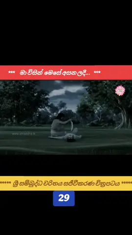*****  ශ්‍රී සම්බුද්ධ චරිතය සජීවීකරණ චිත්‍රපටය  ***** ( 29 කොටස )