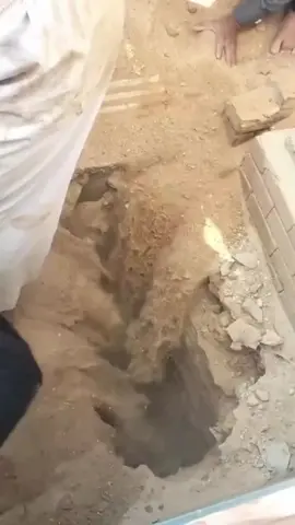 هكذا نموت #الدكتوراحمدالوائلي☘️ 
