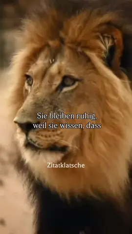 Am Ende bedeutet emotionale Kontrolle, die eigenen Gefühle als Kraftquelle zu nutzen, statt Opfer ihrer Macht zu werden.  Sie macht den Menschen nicht gefühllos, sondern frei – frei, mit klarem Kopf und offenem Herzen zu handeln.💭 #motivationssprüche #mindsetmotivation  #creatorsearchinsights #fyp #fürdichpage 