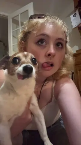 we got him 😛 #tongue #tonguetrend #trend #doggo #fyp 
