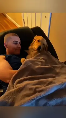dog's sincere feelings 😘❤️ #funny #funnyvideos #animals #pet #cat #dog #cute #foryou #typ 