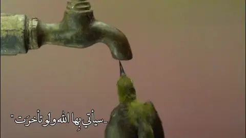 #قصائد_حسينية 
