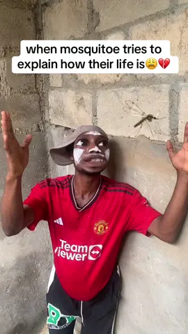 When mosquitoe tries to explain how their life is 😩💔 #mosquito #mosquitos #goviral #everyone #explore 
