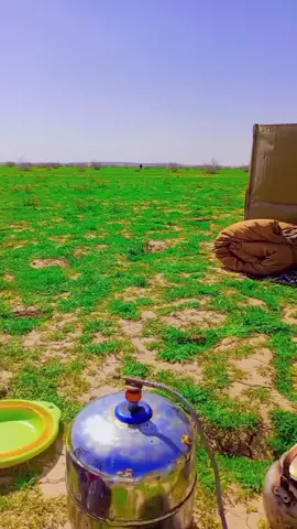 ربيع سنه 2019#مكشات #مكشات_وناسة_بر #السلمان #نسيم_البر🍁 #البوادي 