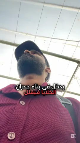 #الزراعة #الاردن🇯🇴 #مهندس #عبدالحميد_البلوشي #متابعة #اكسبلور 