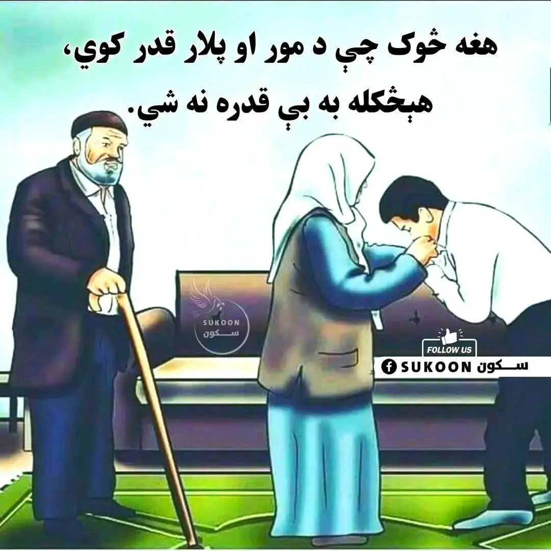 #مورجانه #video ♥