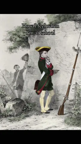 #napoleon #napoleonicwars #history #school #france 