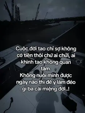 我这辈子就怕没钱，管谁骂我，谁看不起我。 如果连自己都养不活，又何必在乎世人的嘴巴……！