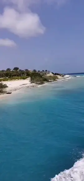 每个人都是一条寻水的鱼，你… 找到了吗？