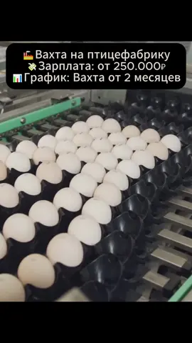 #вахта #вакансии #fyp #работа #трудоустройство 